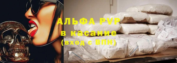 spice Верея