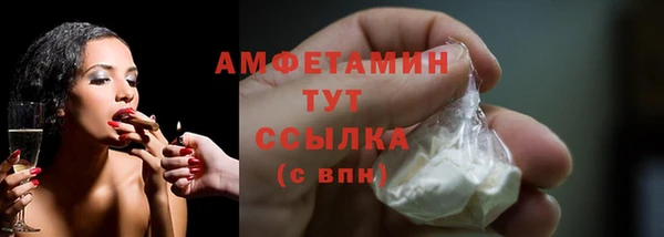 гидра Бронницы