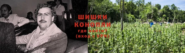 spice Верея