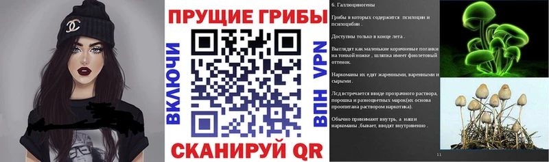 Галлюциногенные грибы GOLDEN TEACHER  Нурлат 